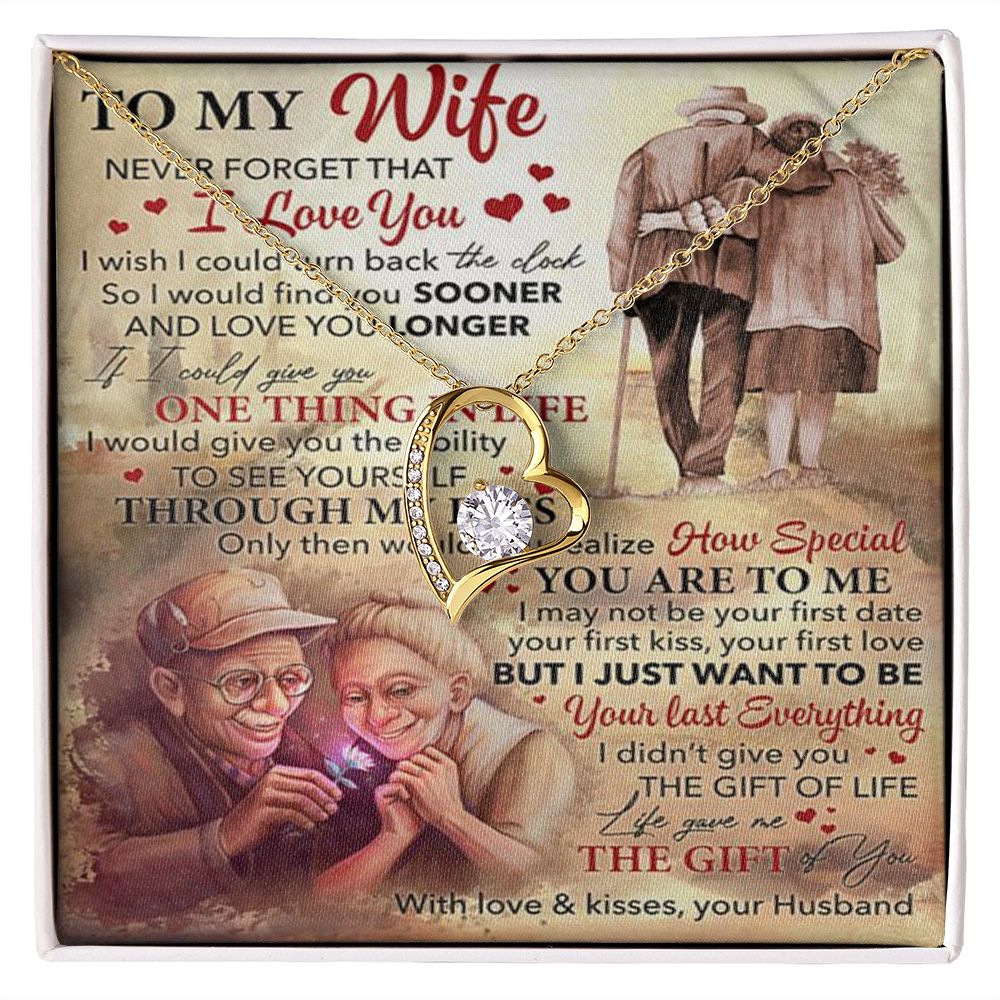 Romantic Gift For Wife | Never Forget That I Love You | Forever Love Necklace