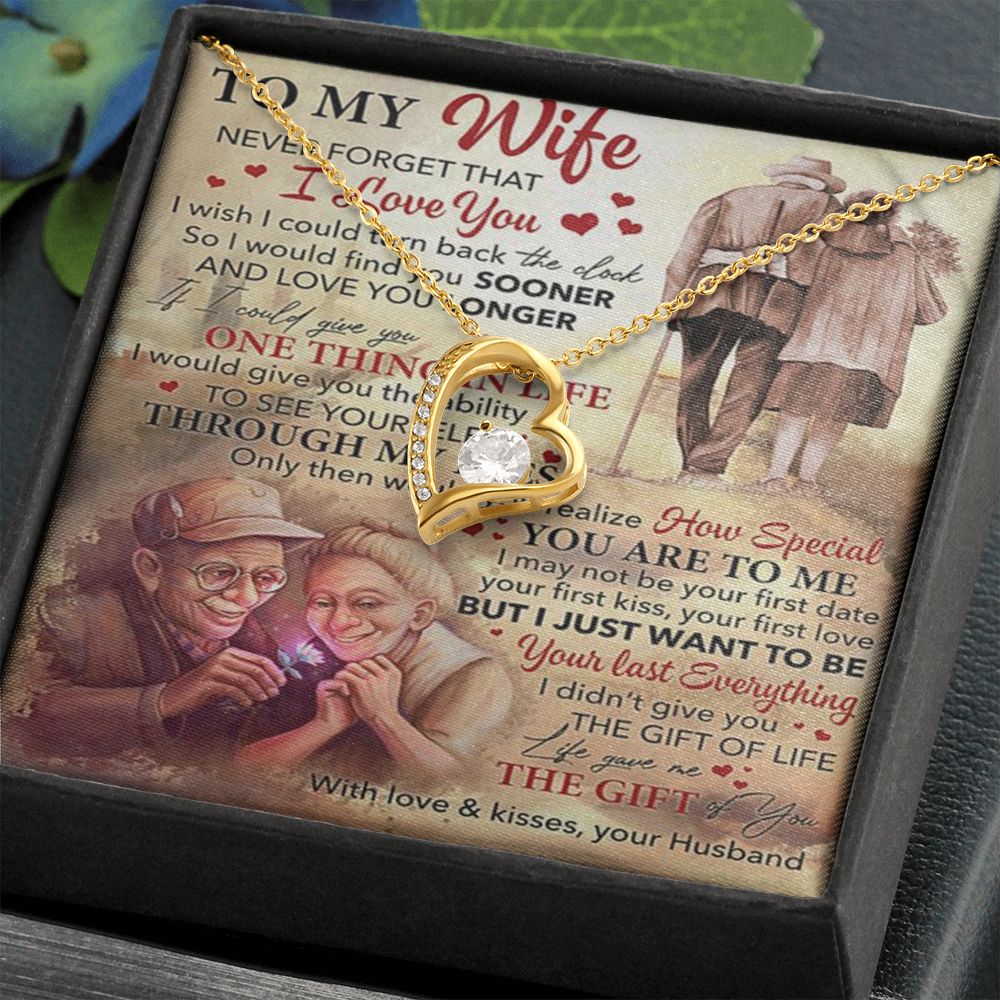 Romantic Gift For Wife | Never Forget That I Love You | Forever Love Necklace